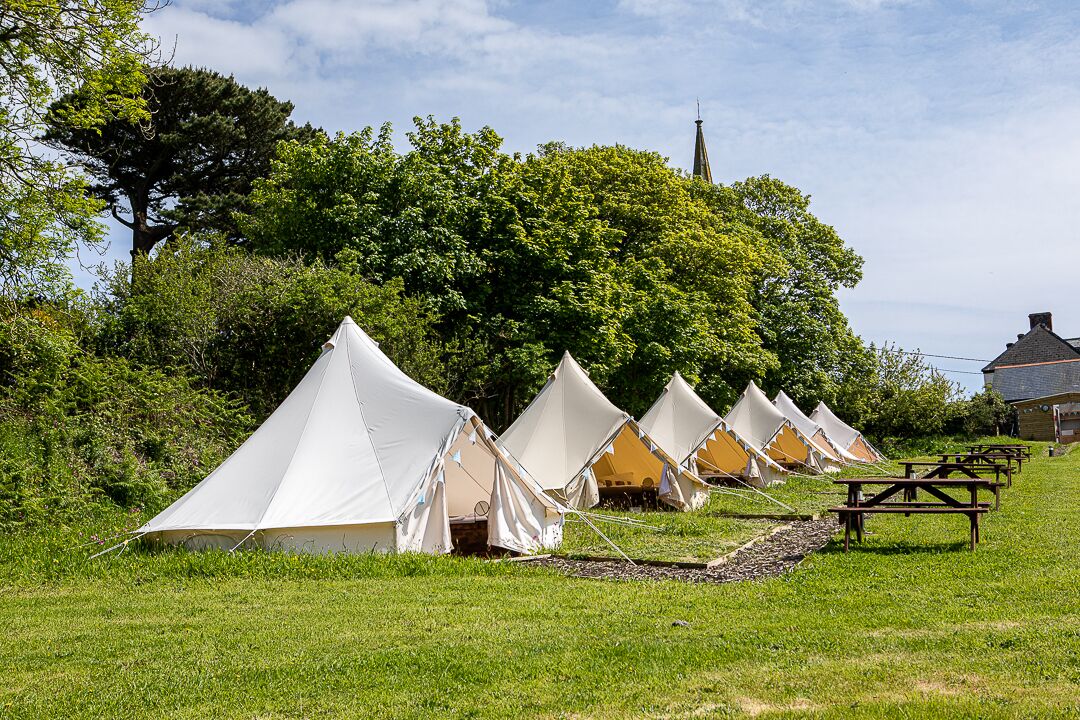 A row of white tents with picnic tables in a grassy area, surrounded by trees and a building in the background.