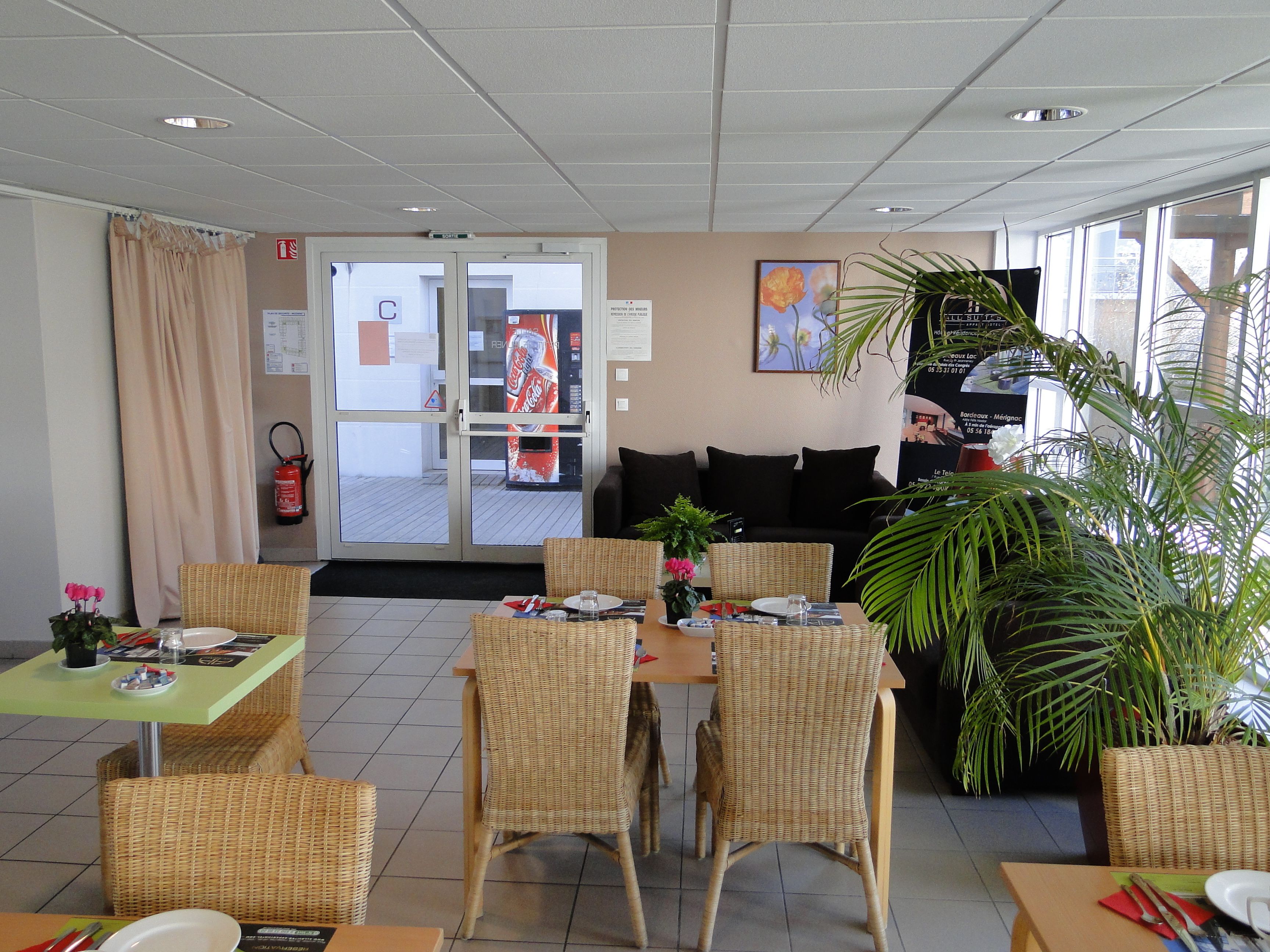 Un espace repas d’hôtel avec des meubles en osier, une grande plante en pot et un distributeur automatique de Coca-Cola.