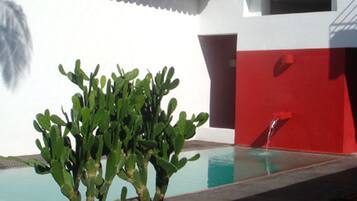 Una piscina con una planta de cactus a su lado, un edificio blanco con una sección roja, y un cielo azul despejado.