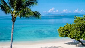Una playa con océano azul cristalino, piscina y una palmera.