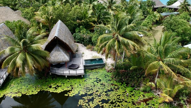 Un resort tropical con cabañas de techo de paja, una piscina rodeada de lirios y vistas al océano con barcos.