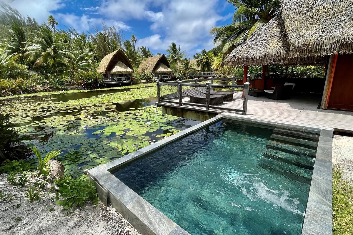 A pool area with a thatched-roof structure, surrounded by tropical vegetation and palm trees.