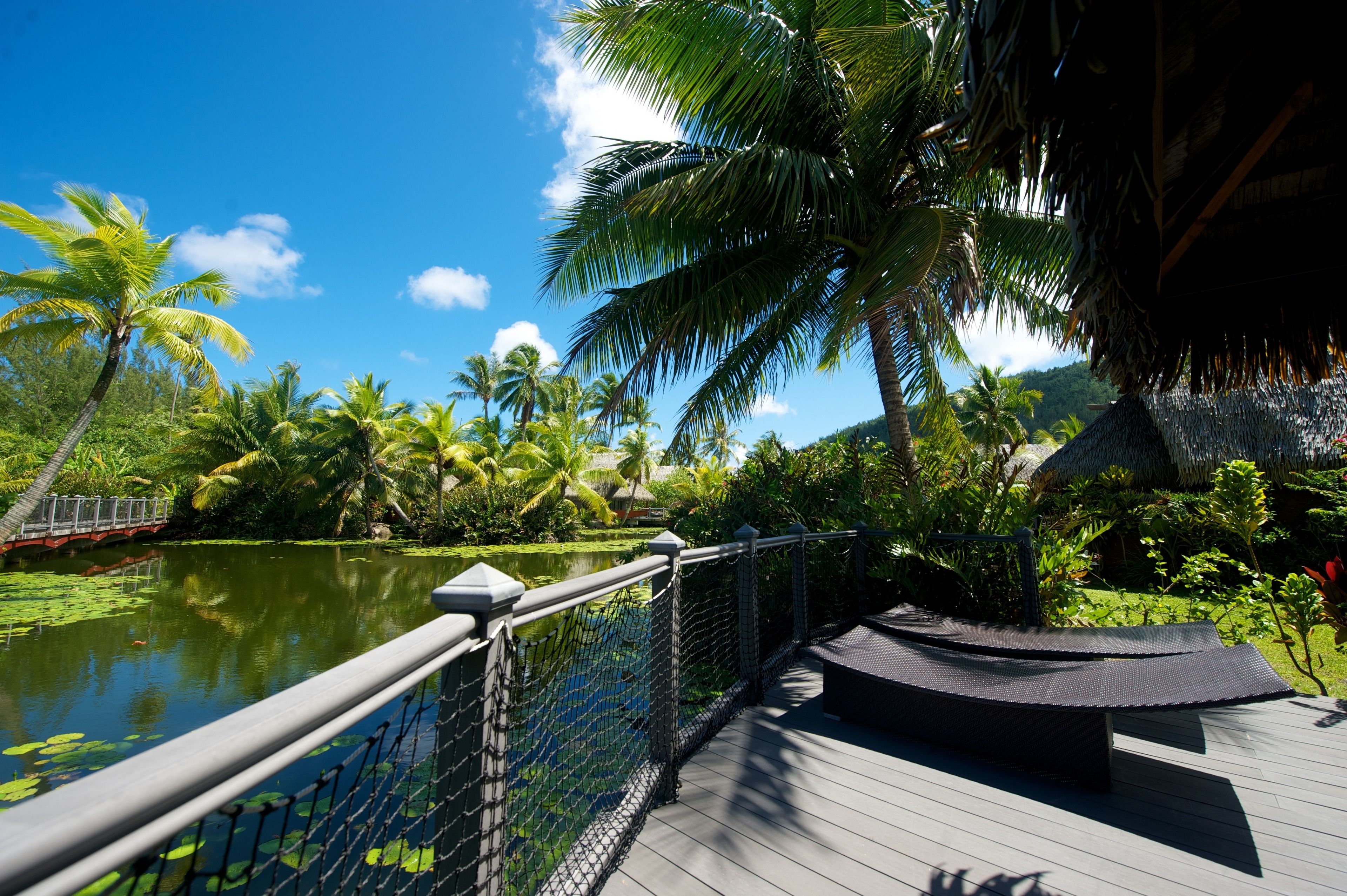 Bungalow Premium, vue lac | Solarium