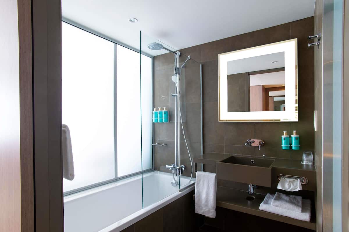 Chambre Exécutive, 1 lit double et 1 canapé-lit, vue fleuve | 1 chambre, literie de qualité supérieure, minibar