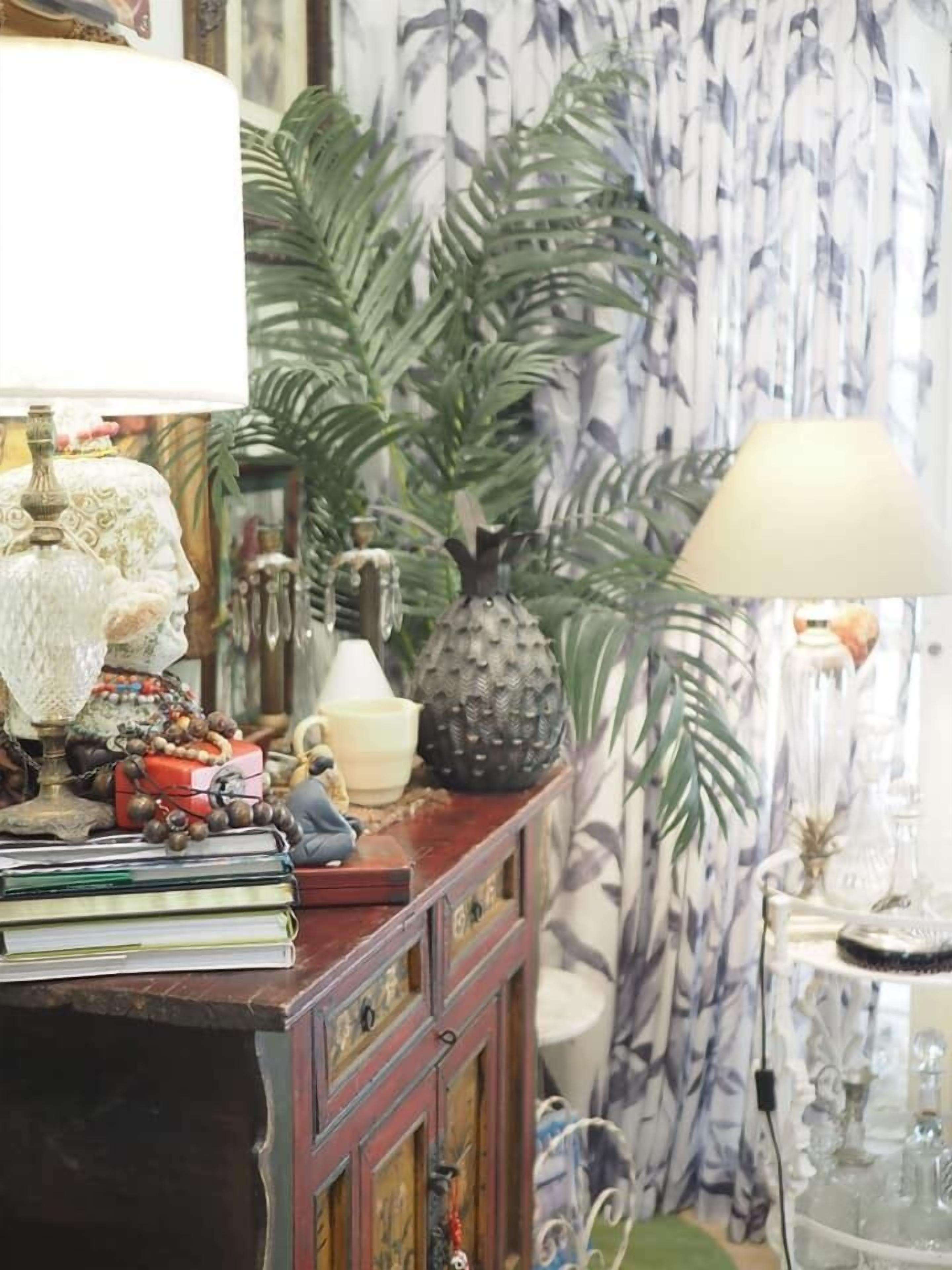 Une pièce avec un meuble en bois, des livres, des objets de décoration, une lampe et une grande plante.
