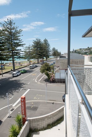 Vista desde la propiedad