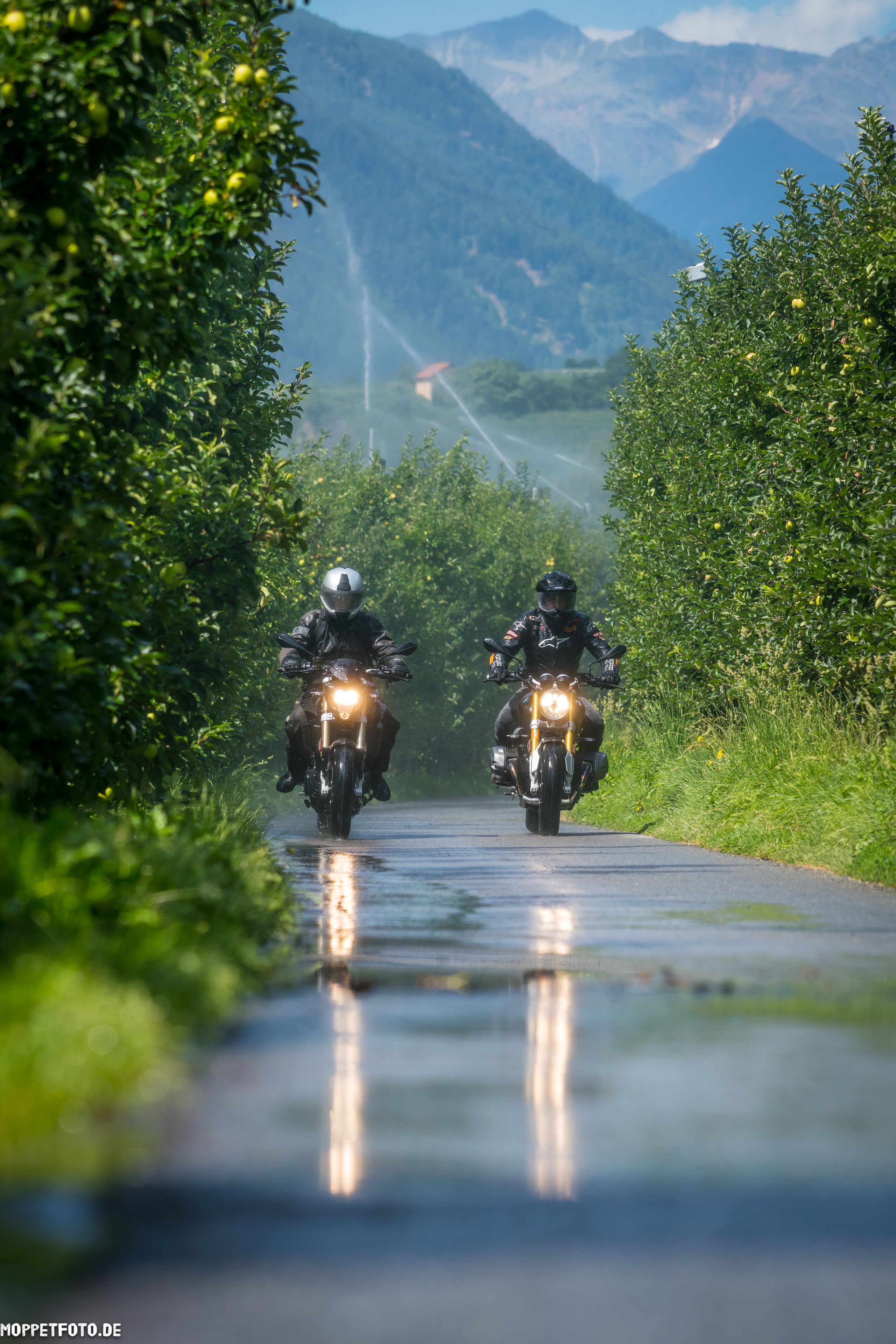 Two motorcyclists riding on a wet road with greenery on both sides.
