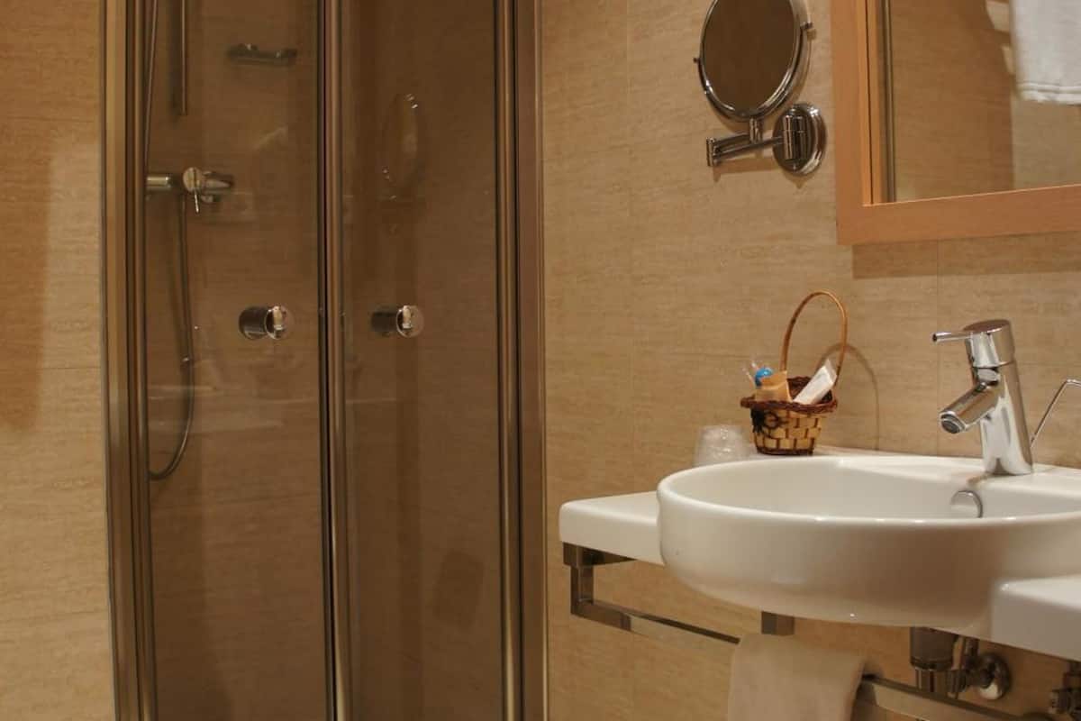 shower, free toiletries, hair dryer, bidet