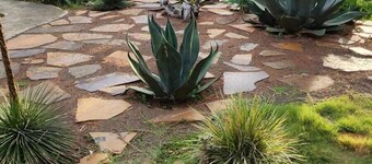 루스플레크 게스트하우스 & 컨퍼런스 센터