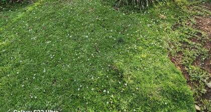 Rusplek Guesthouse and Conference Centre