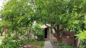 A garden pathway leading to a wooden structure with a sloped roof, surrounded by lush greenery and a stone border. - Rusplek Guesthouse and Conference Centre (Bloemfontein)