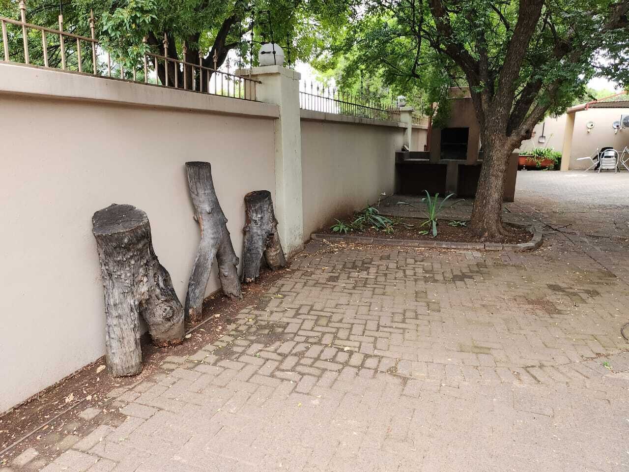 A paved walkway with a low wall and tree stumps.