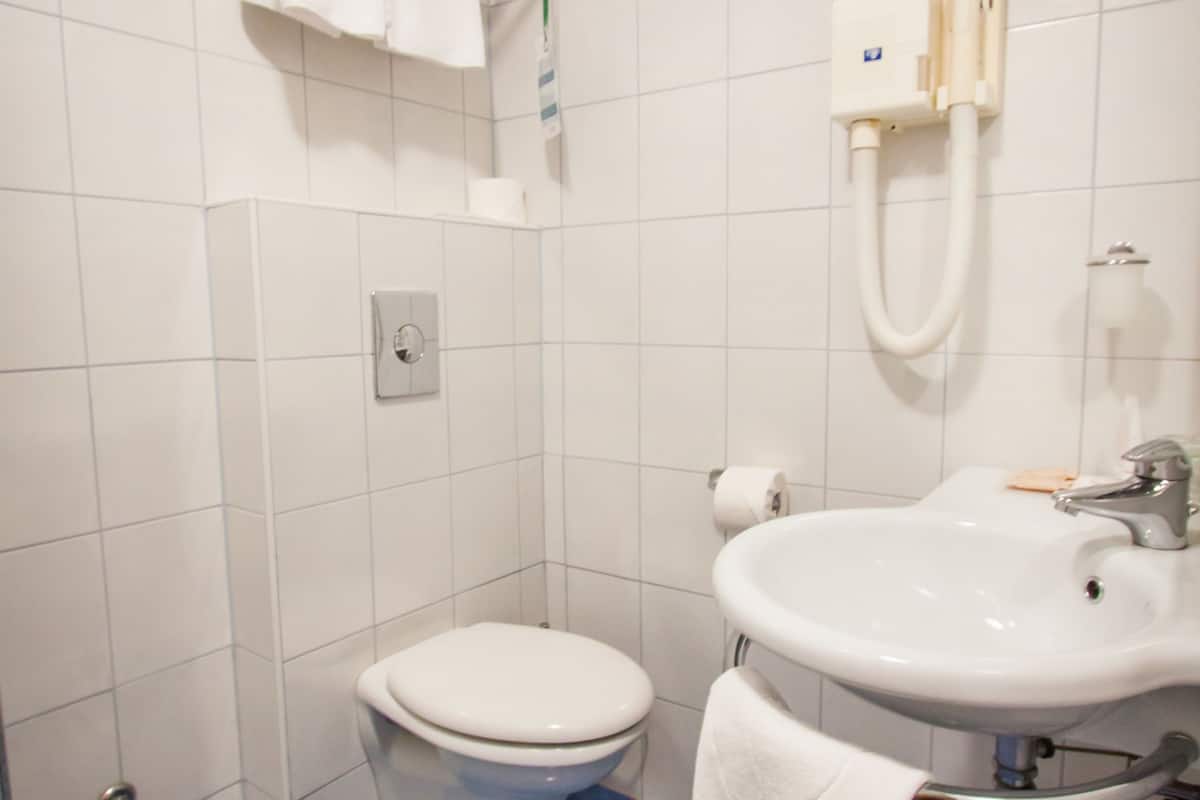 shower, free toiletries, hair dryer, slippers
