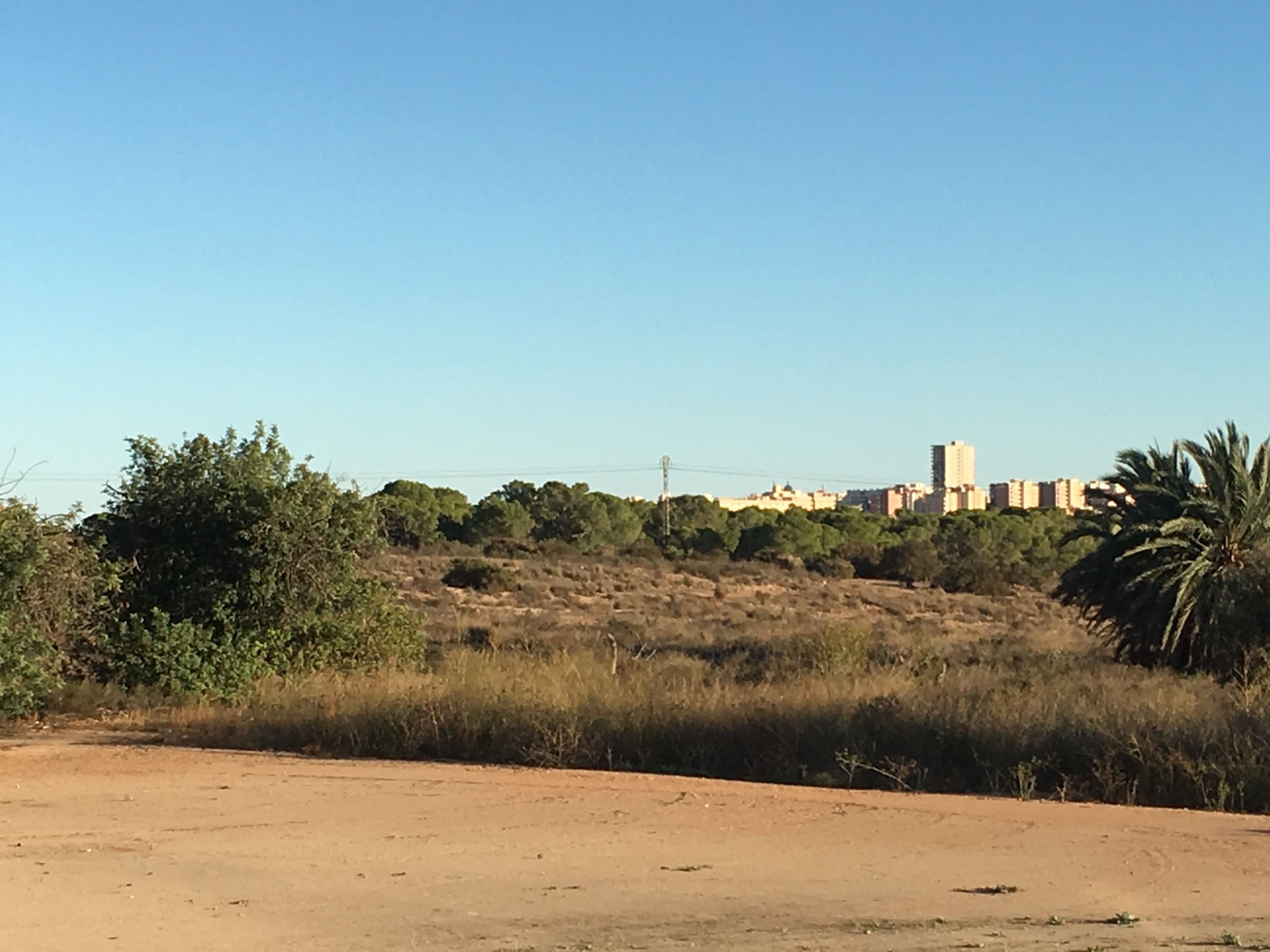 Foto - Hostal Meseguer