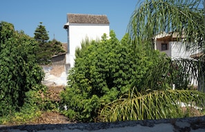 Studio, Garden View | View from room