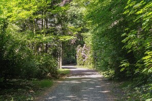 花園