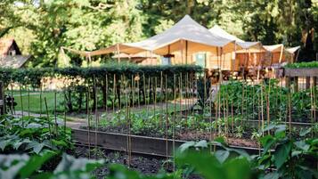 A garden with raised beds and a row of tents in the background.