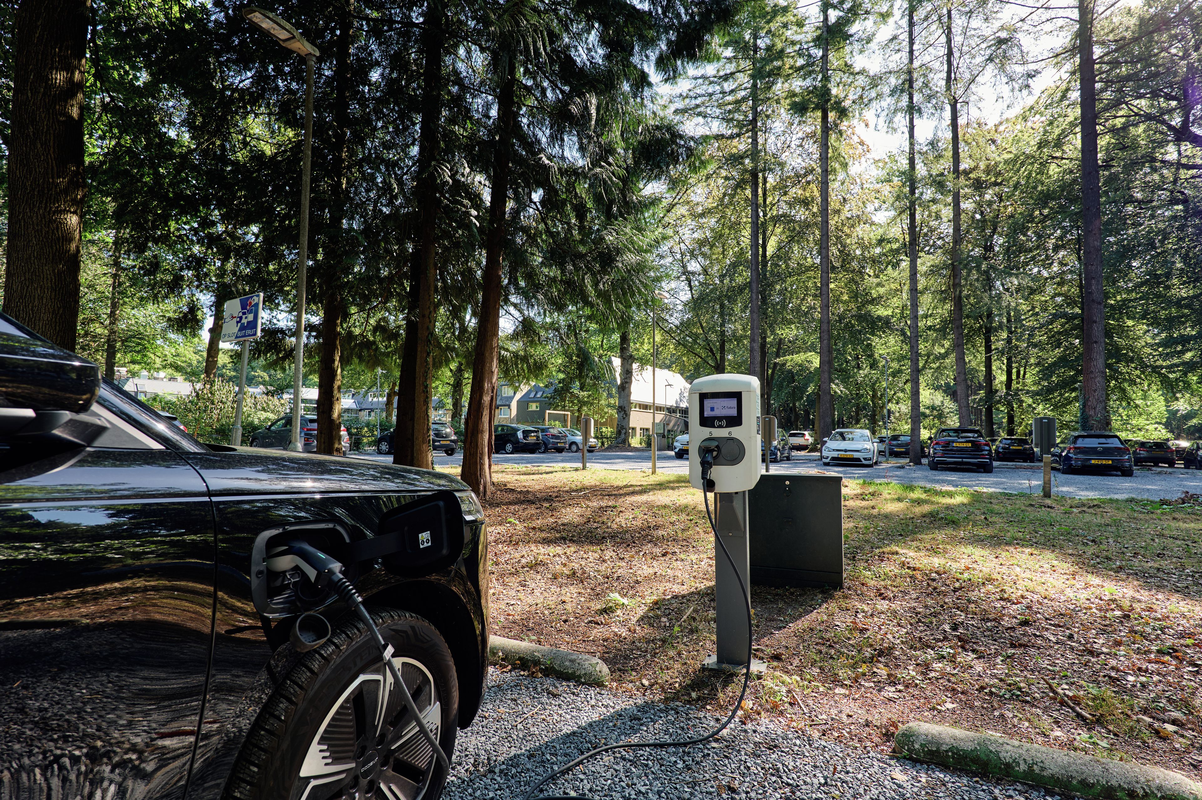 A parking area with electric vehicle charging stations surrounded by trees.