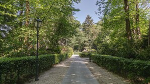 Un camino bordeado por setos y árboles cuidados, que lleva a una estructura distante.