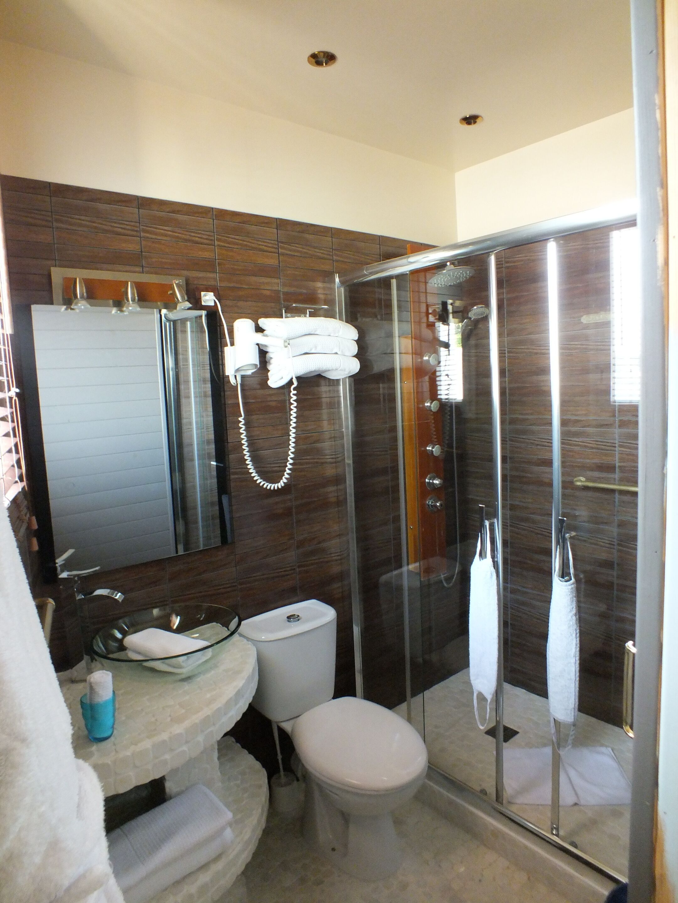 A modern bathroom with a glass-enclosed shower, a toilet, a sink, and a mirror.
