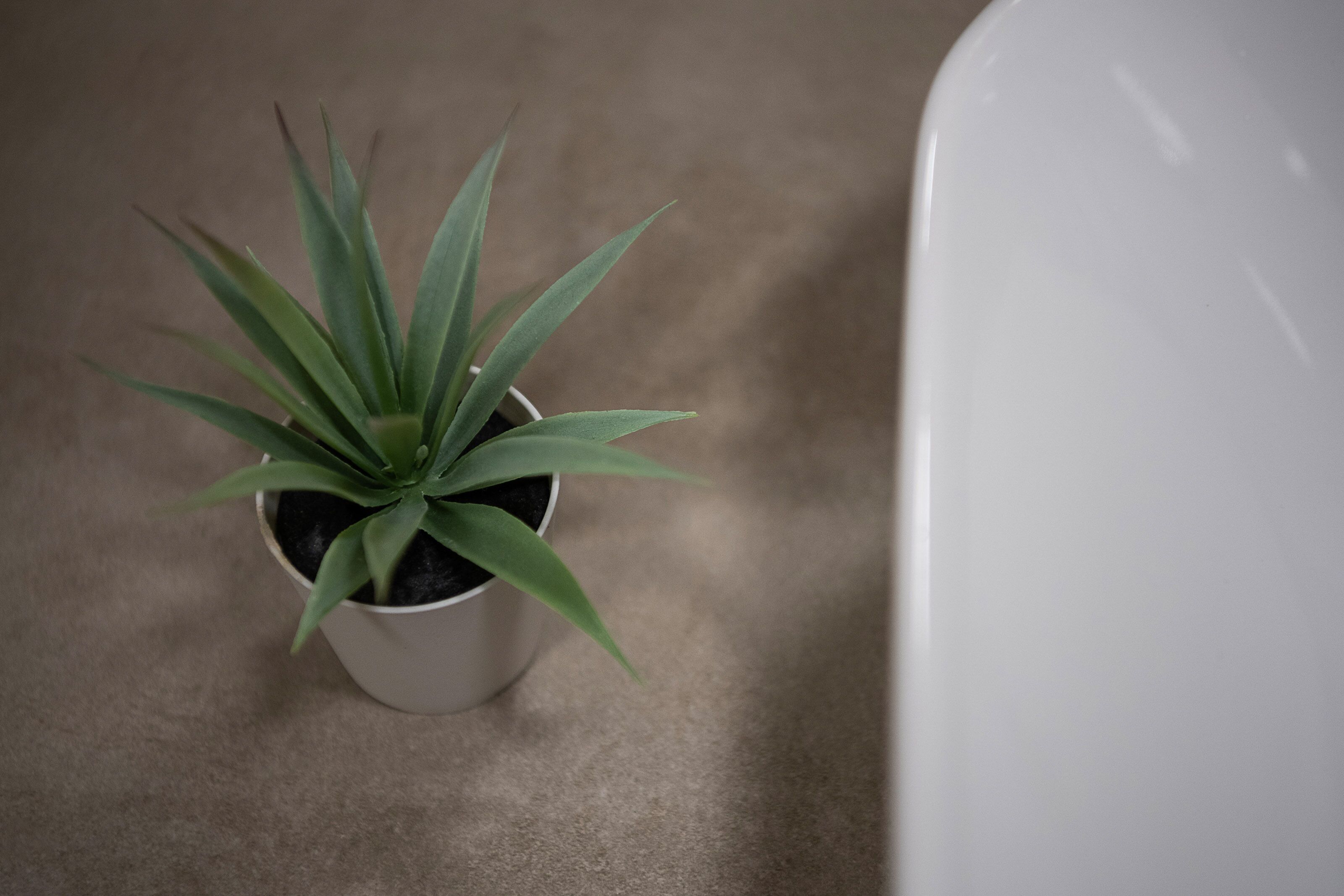 Foto - Alianthos Suites