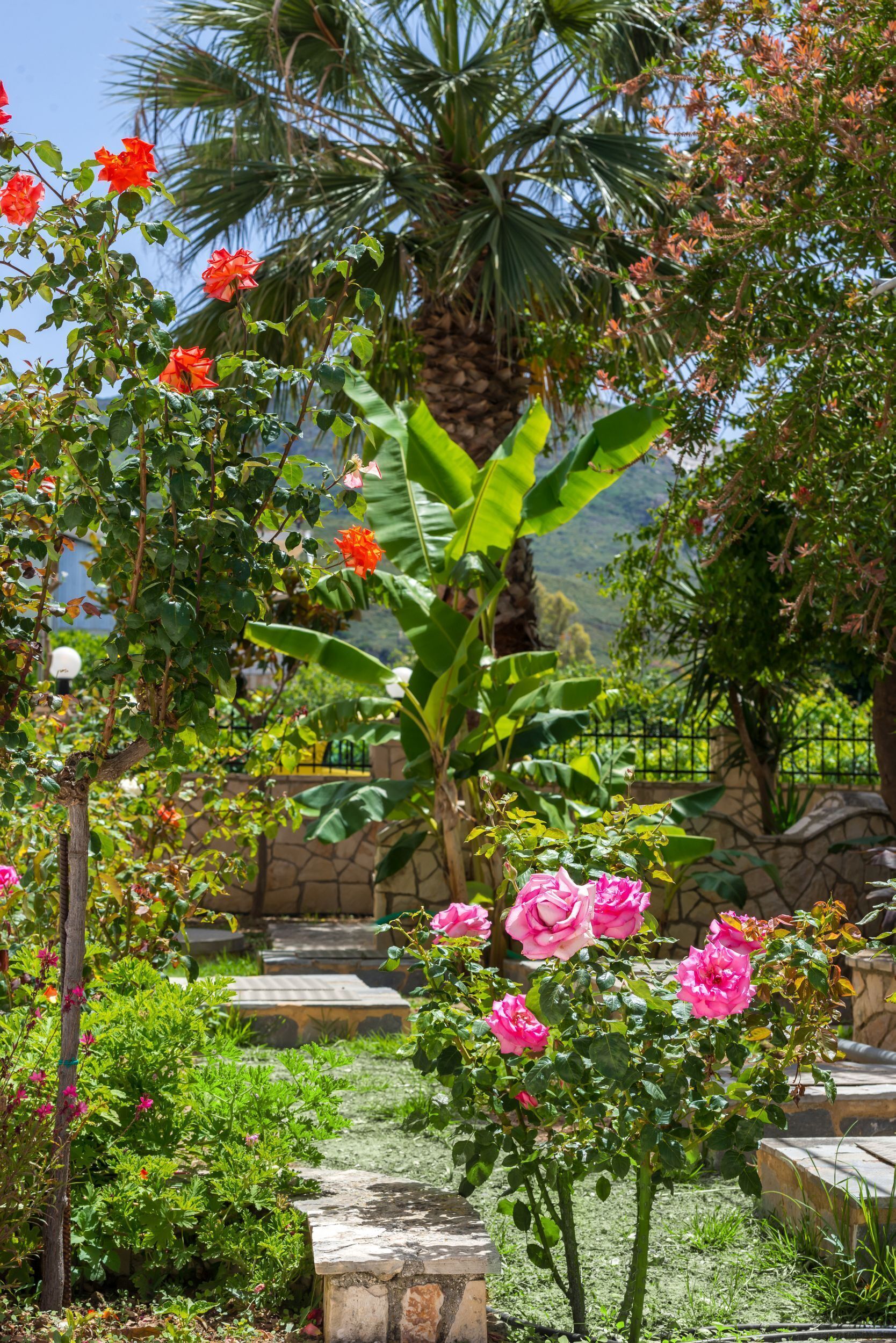 Utsikt från boendet