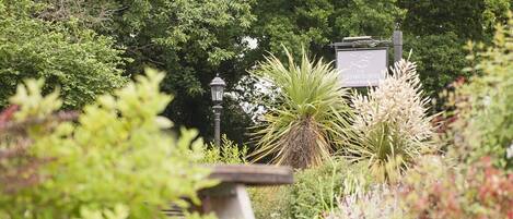 A garden with a signboard, a lamp post, and various plants.