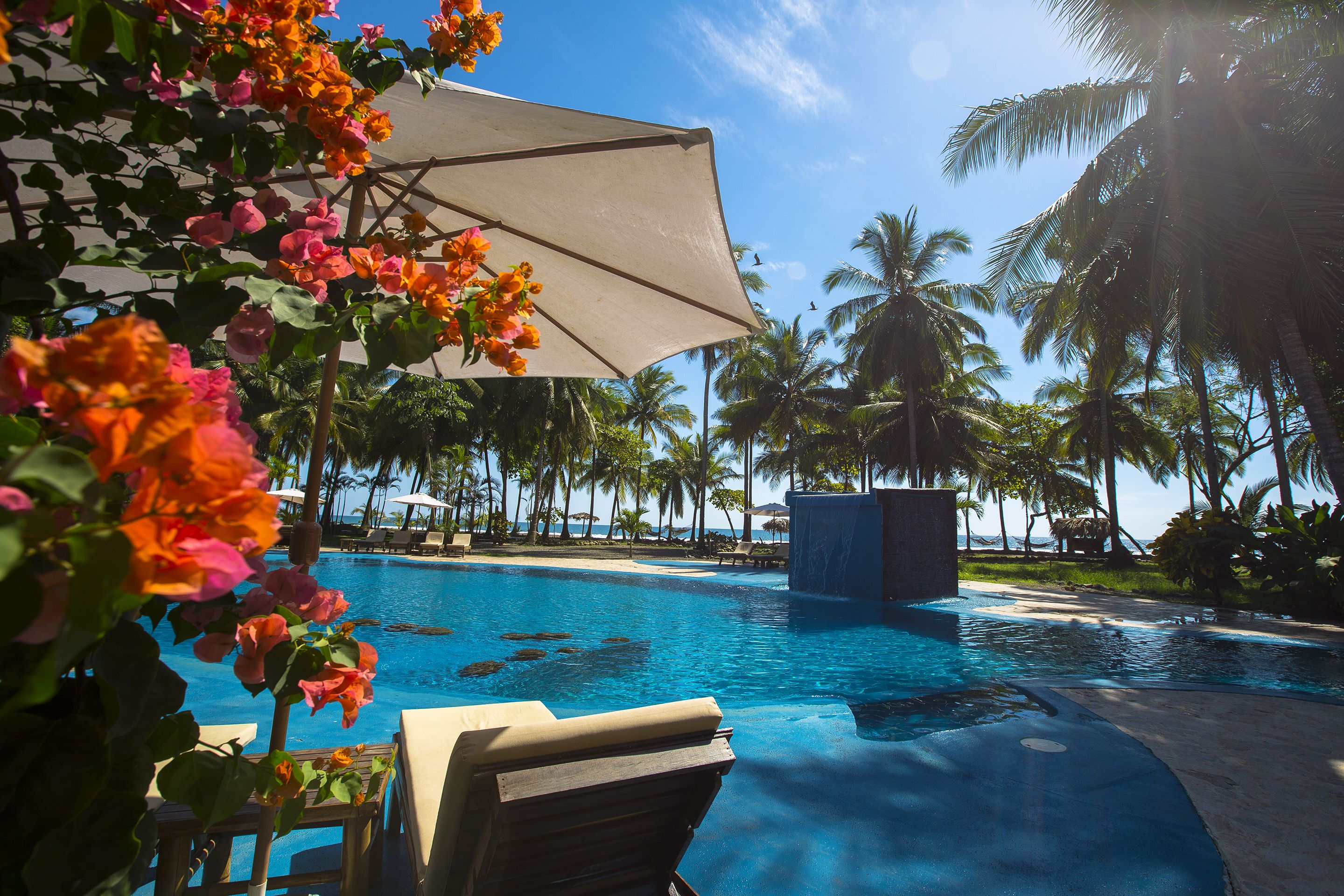 Alberca al aire libre, sombrillas en la alberca y camastros 