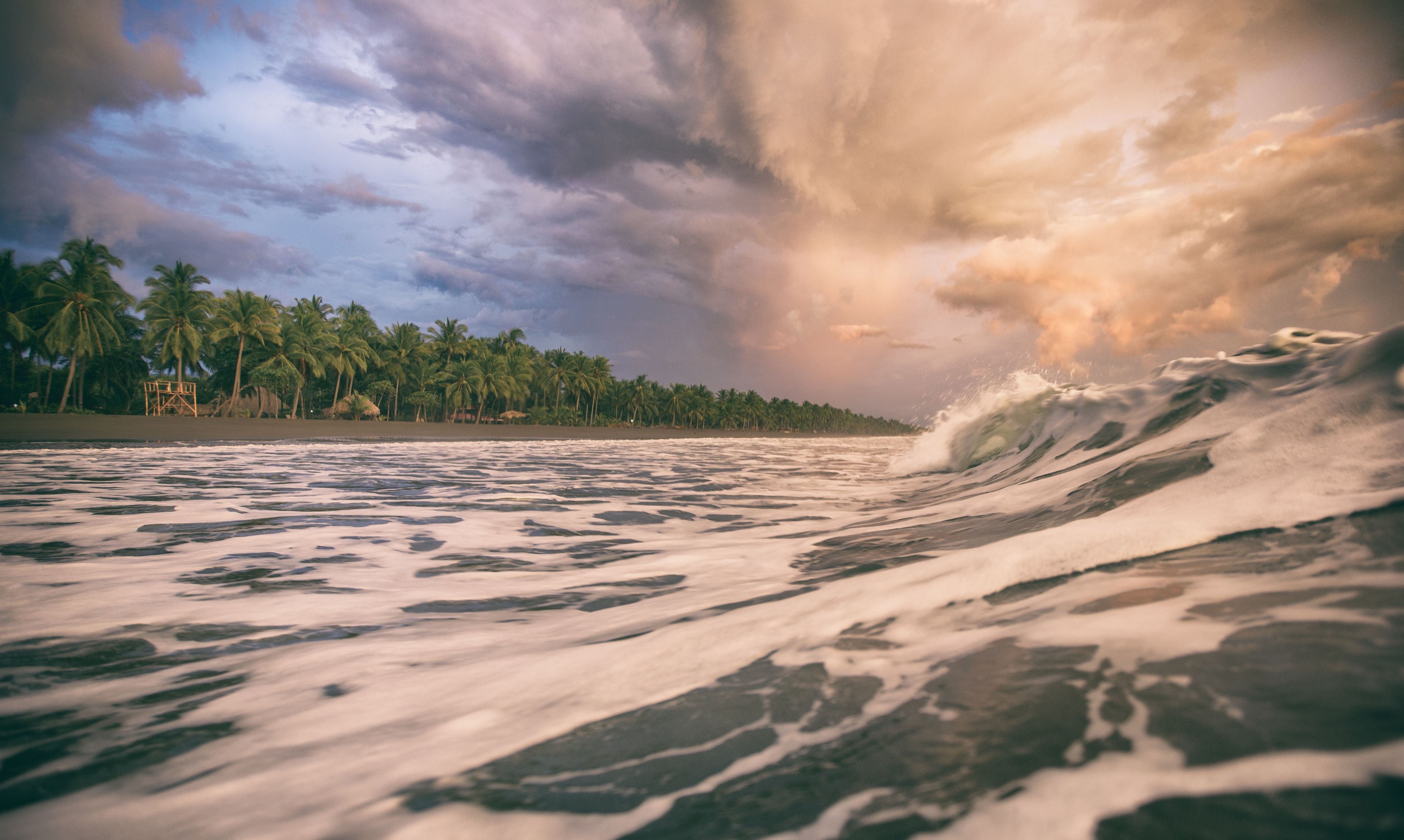 Una playa con olas y palmeras bajo un cielo nublado.