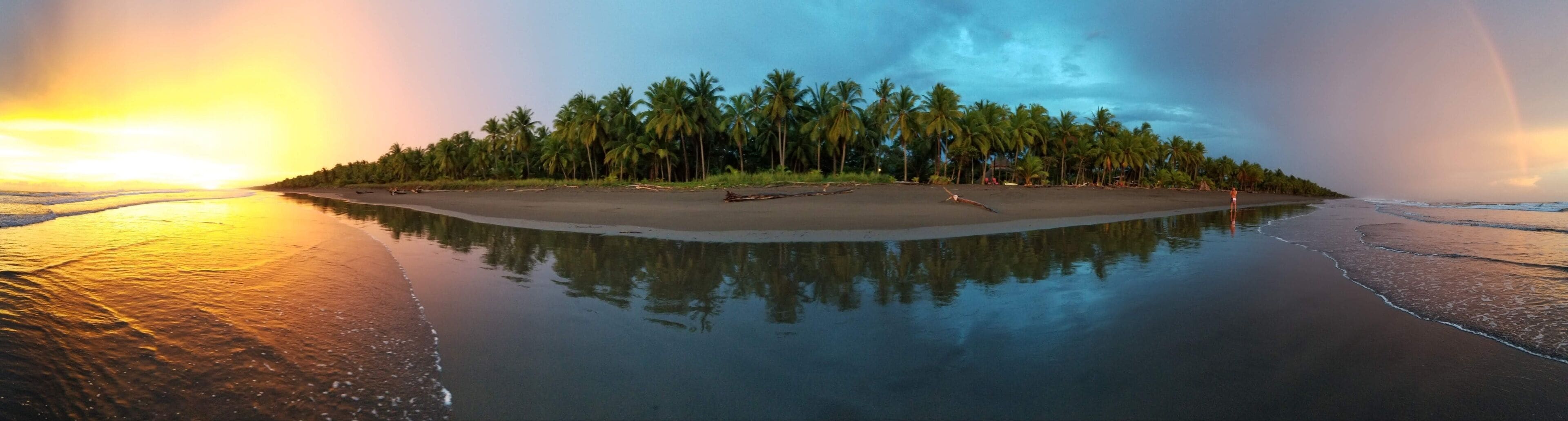 Una playa con palmeras y aguas tranquilas que reflejan el cielo.