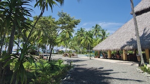 Un sentiero fiancheggiato da palme che conduce a un edificio con tetto di paglia, suggerendo un ambiente da resort tropicale.