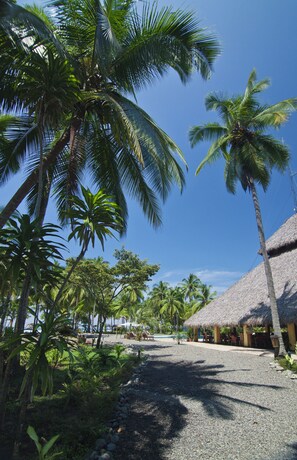 Property entrance - Clandestino Beach  (Parrita)