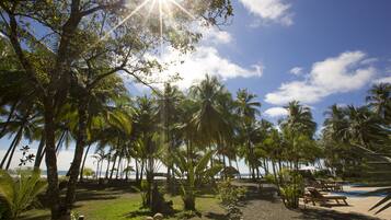 A tropical resort with palm trees, a swimming pool, and a beach view.