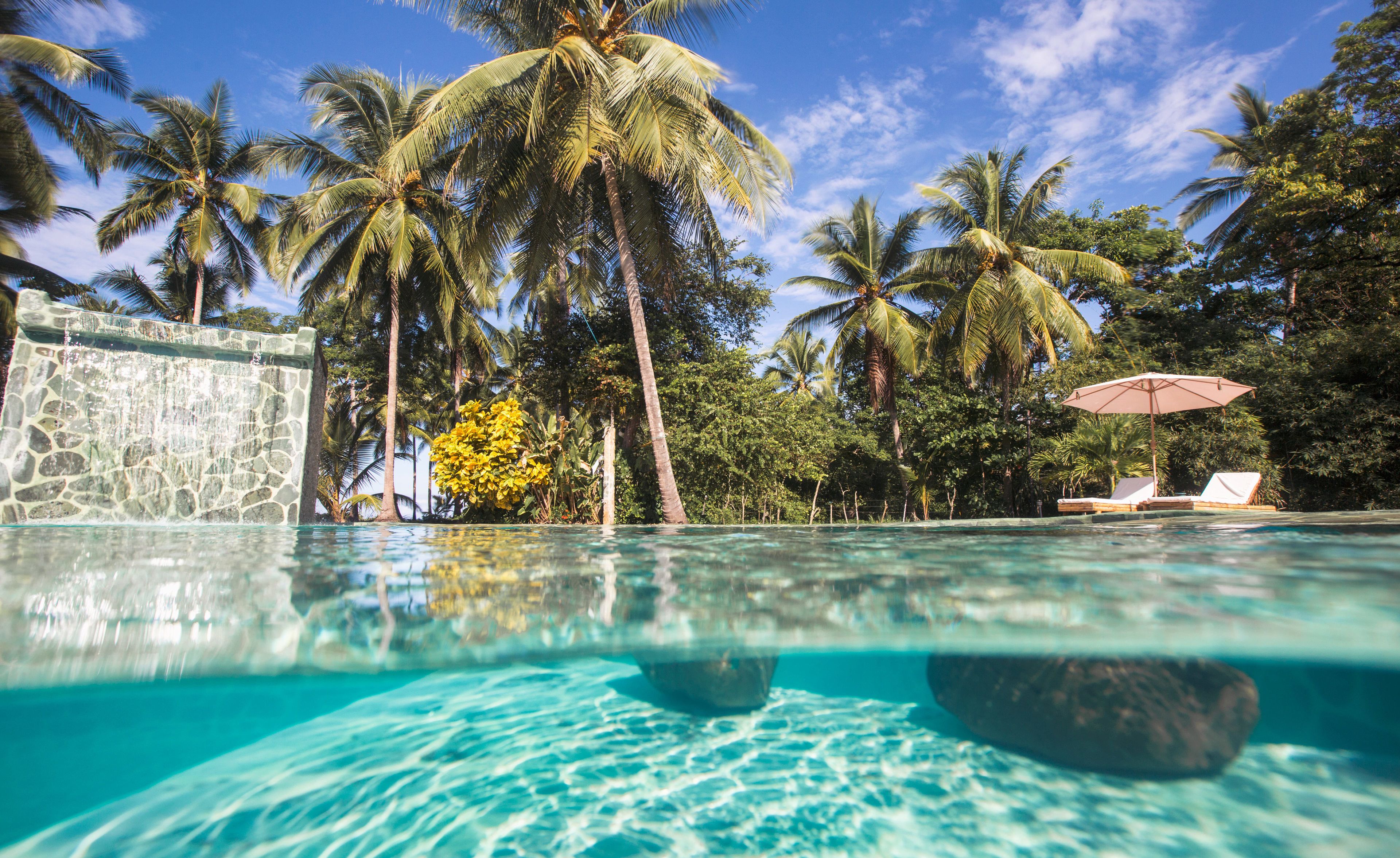 Una piscina al aire libre, sombrillas, tumbonas