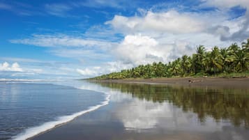 Private beach, free beach cabanas, sun loungers, beach umbrellas
