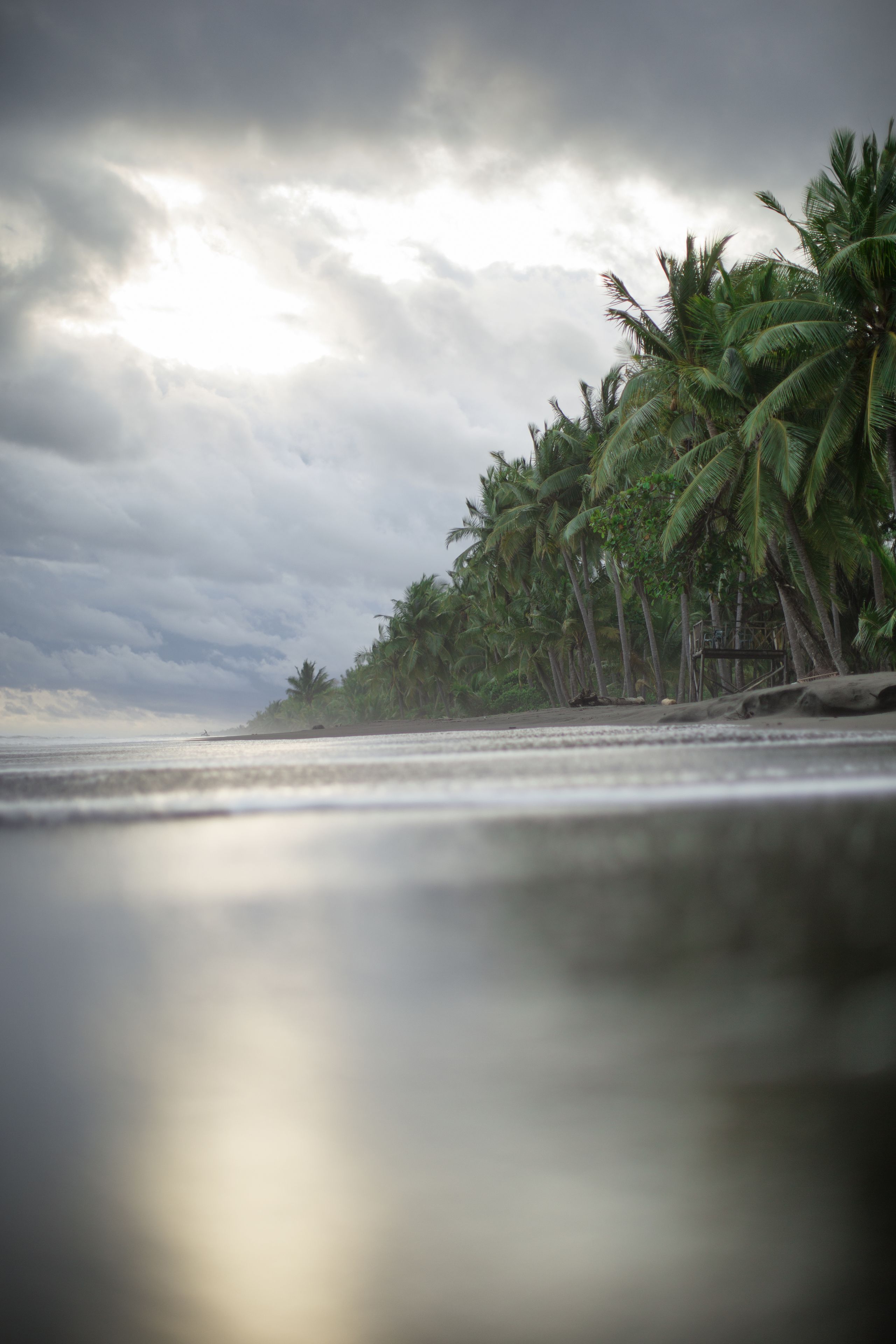 Una playa con palmeras y cielo nublado.