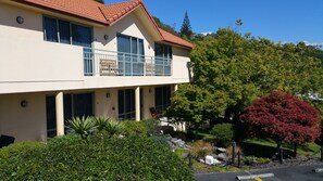 Garden - Abelia Motor Lodge (Nelson)