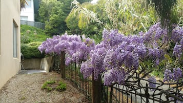 花園