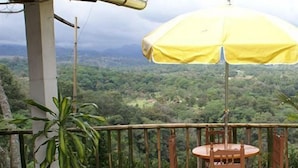 Terrace/patio - Finca Santa Rosa (Teocelo)