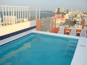 Outdoor pool, sun loungers