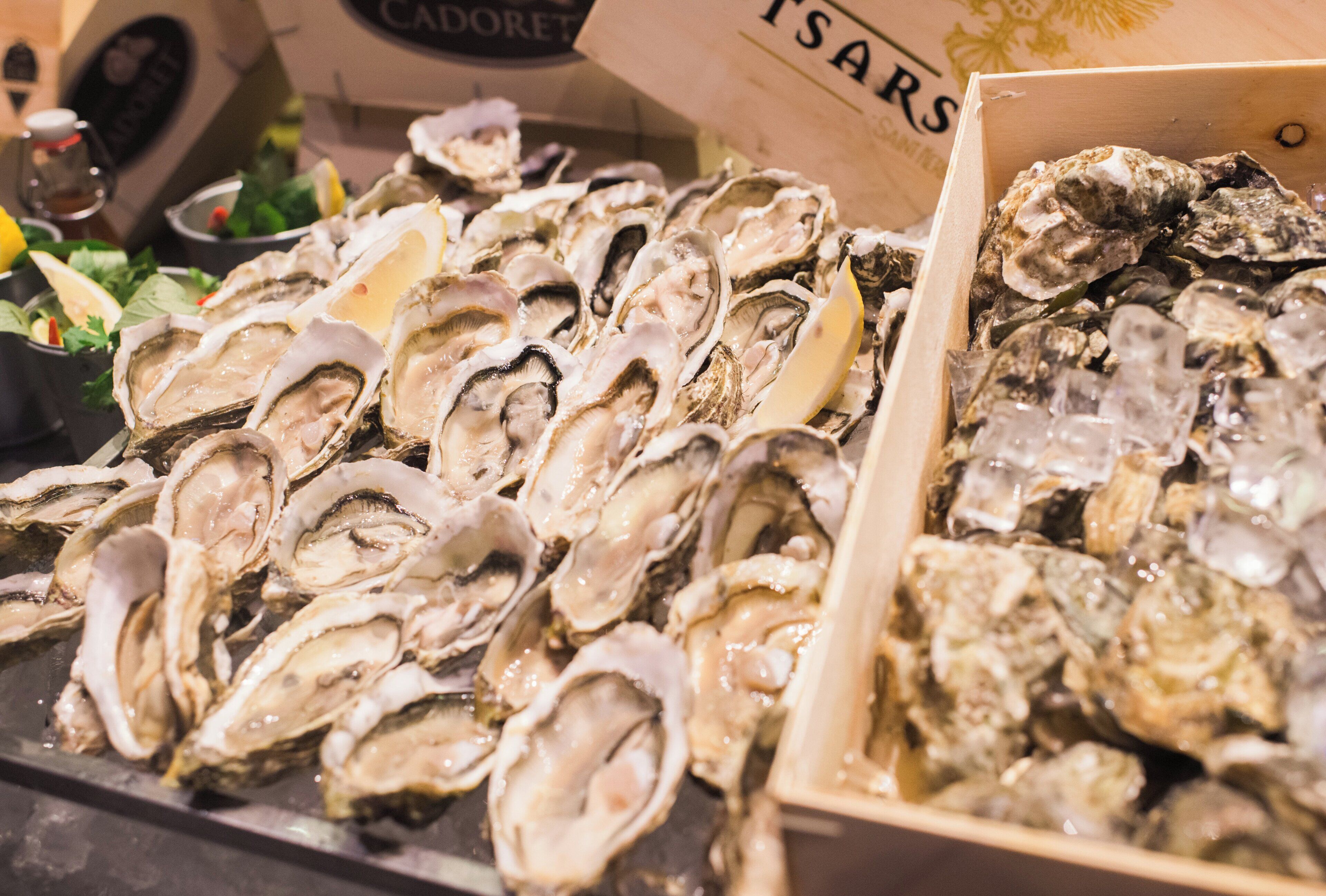 A display of oysters in a box.