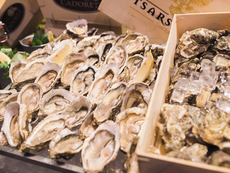 A display of oysters in a box.