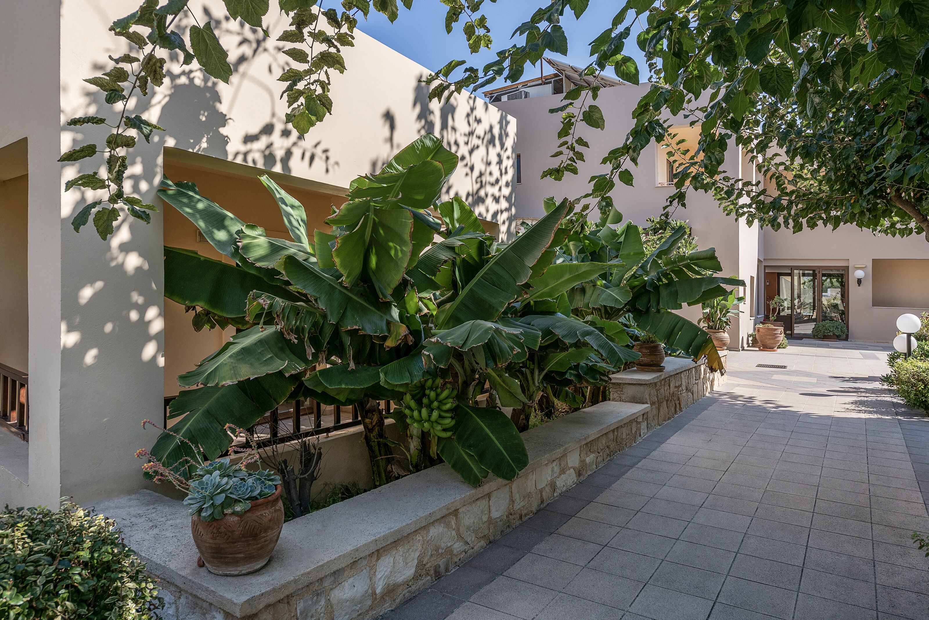 A paved courtyard with potted plants and a stone wall.