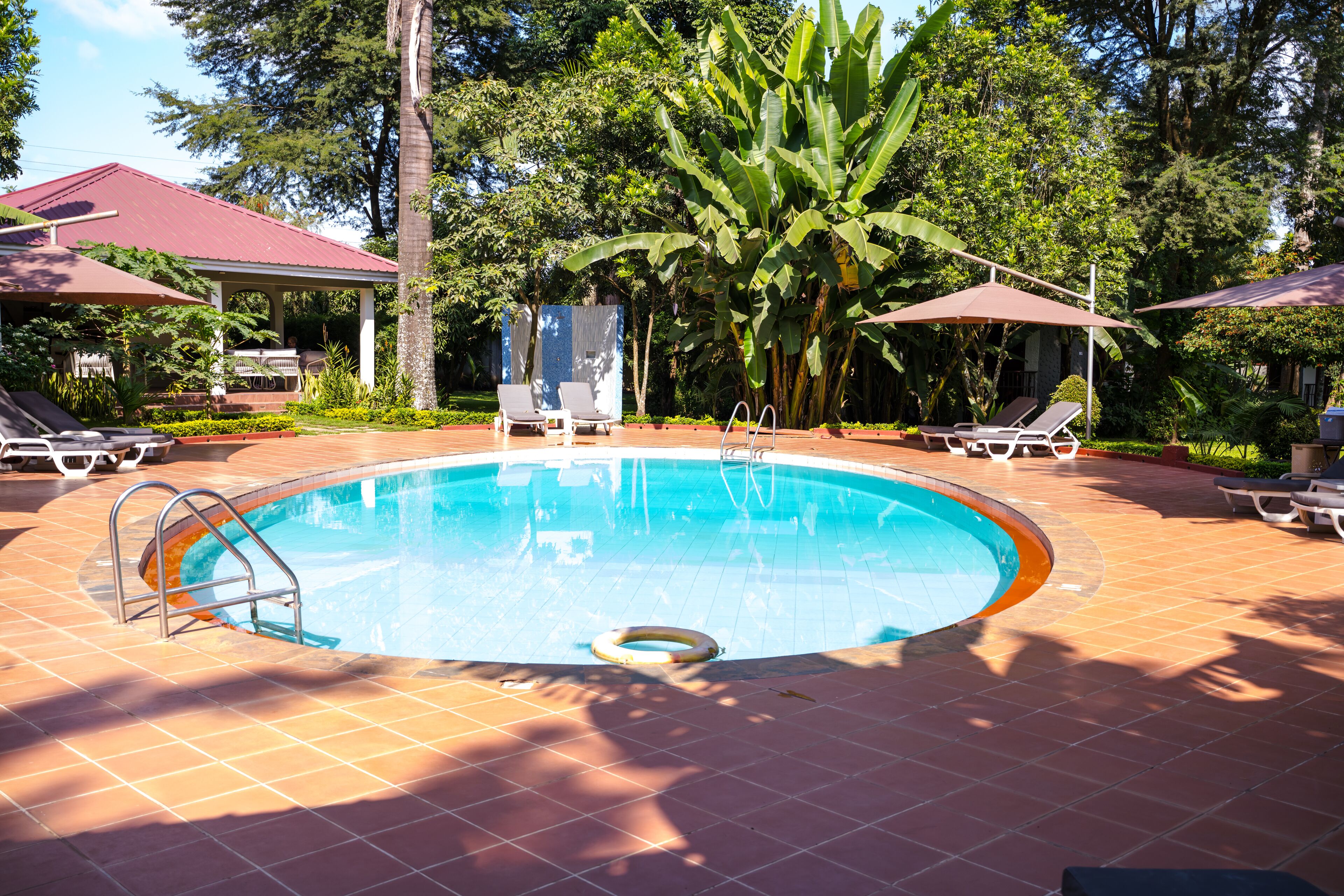 Une piscine entourée de chaises longues et de parasols, elle-même bordée d’une végétation luxuriante et d’un pavillon abrité.