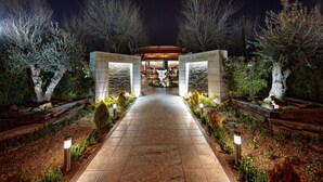 A nighttime entrance to a building with a stone pathway, illuminated by ground lights, flanked by trees and shrubs. - Complejo La Cigüeña (Arganda del Rey)