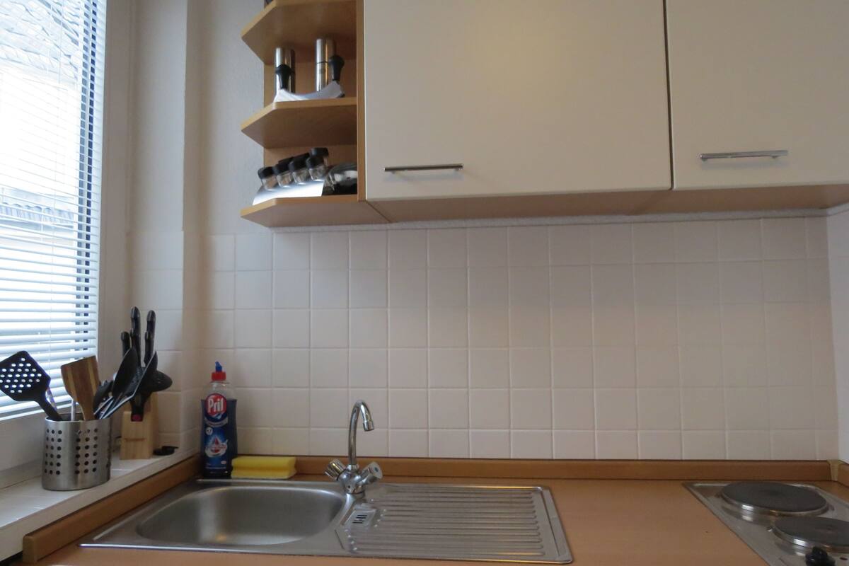 city apartment, 1 bedroom, kitchen, city view | private kitchen
