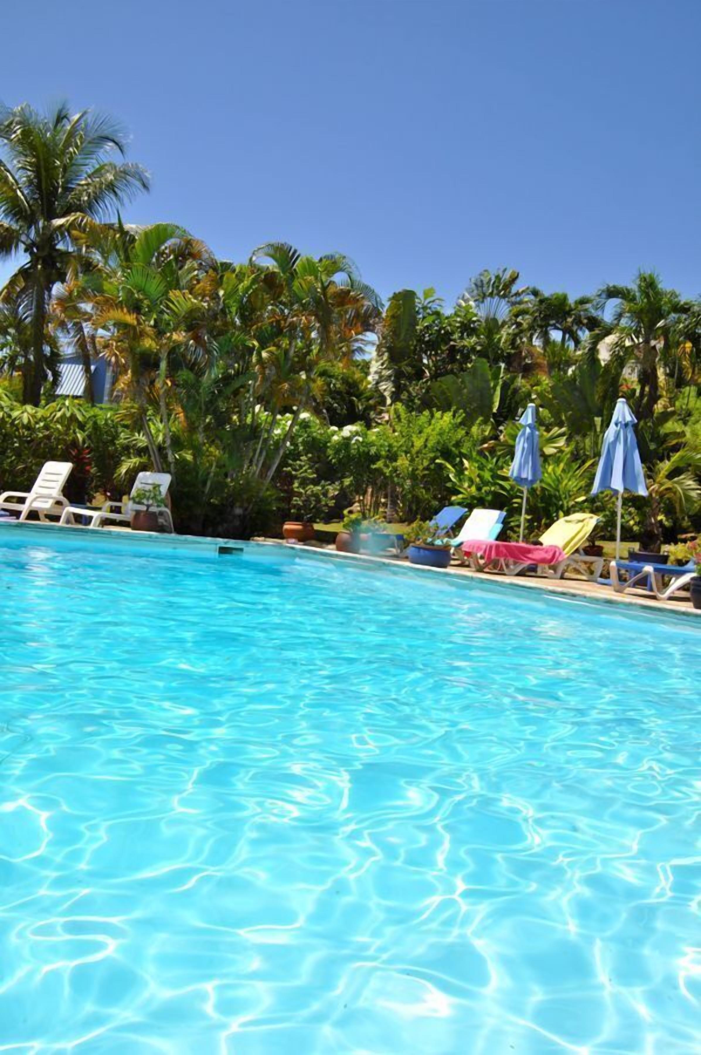 Una piscina al aire libre, sombrillas, sillones reclinables de piscina