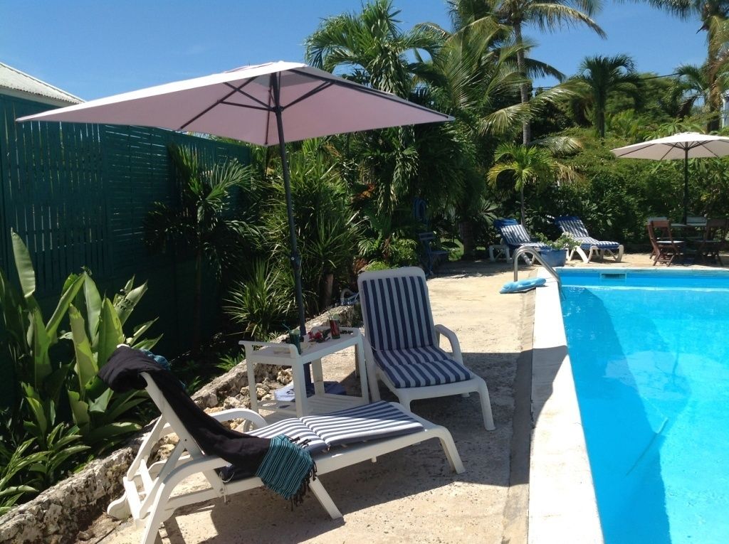 A poolside area with lounge chairs and umbrellas, surrounded by palm trees and greenery.