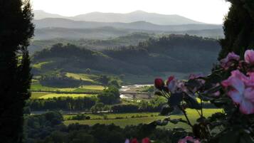 A vineyard landscape with rolling hills, a river, and a bridge.