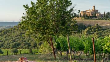 A vineyard with a picnic setup and a historic building in the background.
